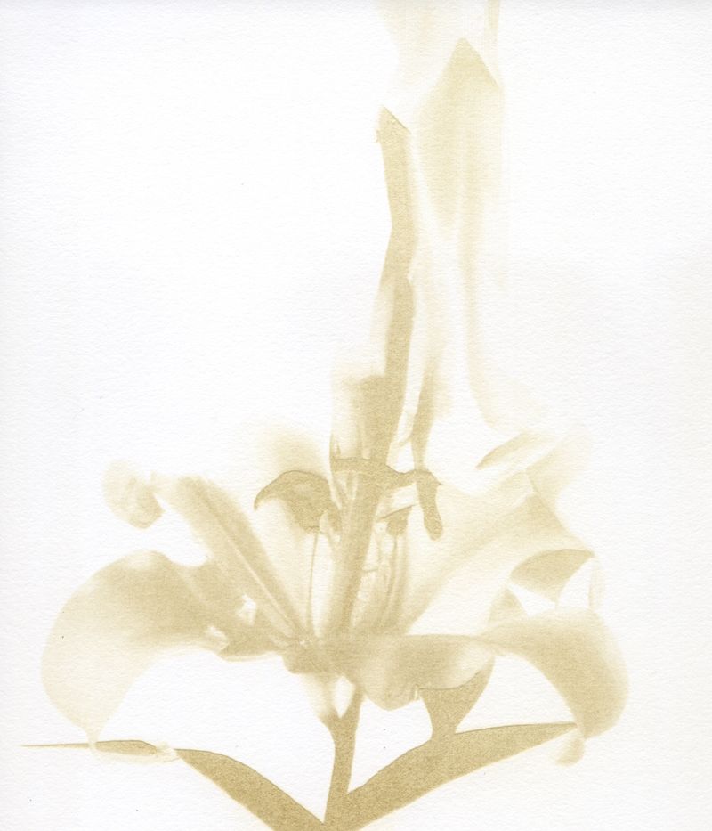 © Julia Albrecht - Image from the Silent Battles photography project