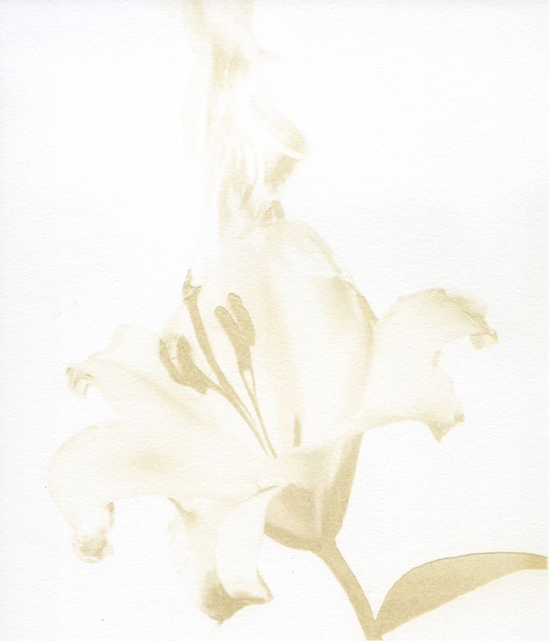 © Julia Albrecht - Image from the Silent Battles photography project