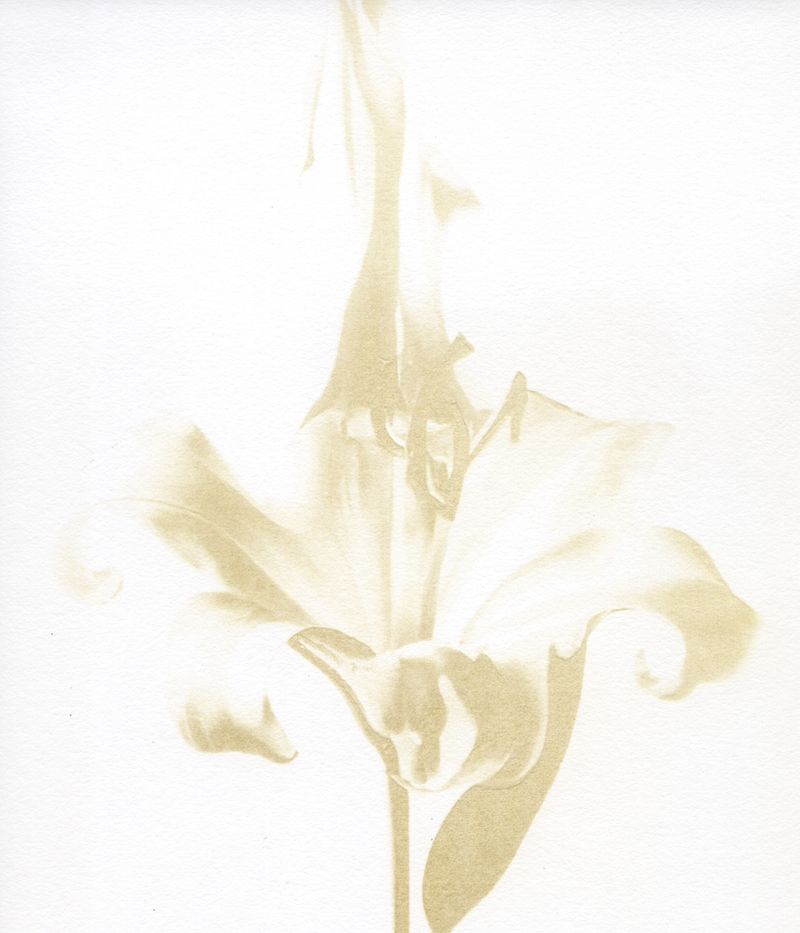 © Julia Albrecht - Image from the Silent Battles photography project