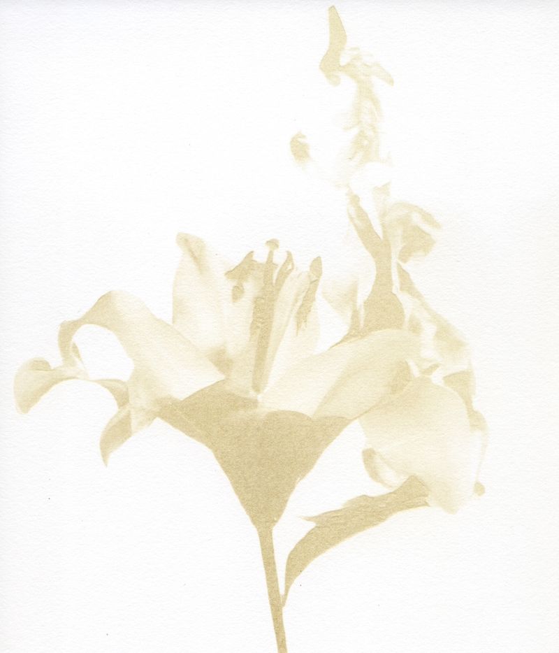 © Julia Albrecht - Image from the Silent Battles photography project