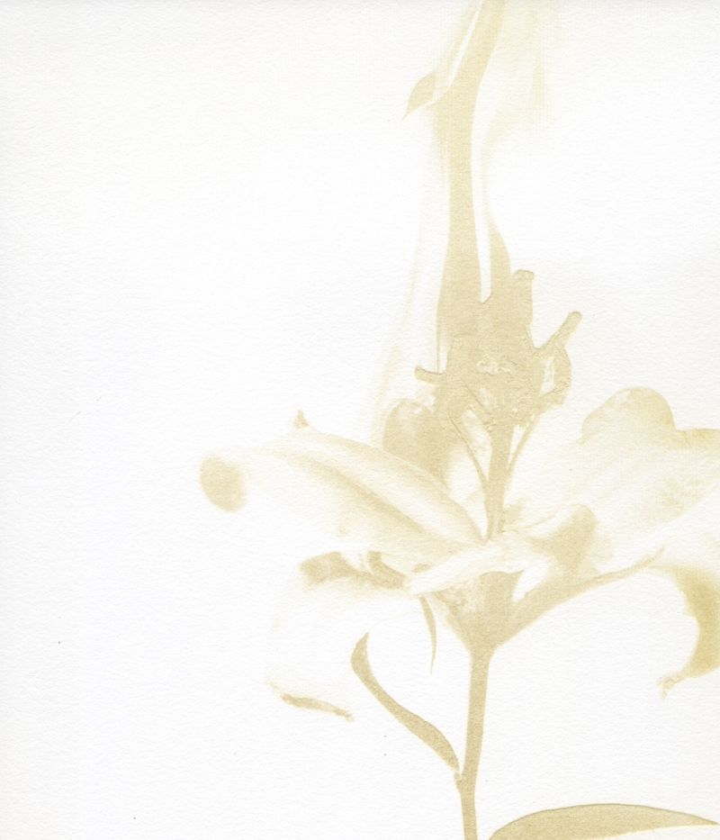 © Julia Albrecht - Image from the Silent Battles photography project