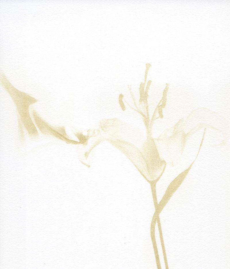 © Julia Albrecht - Image from the Silent Battles photography project