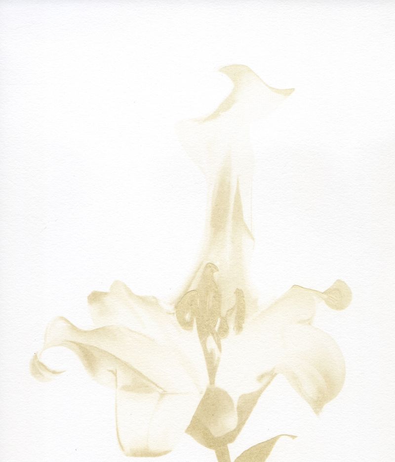 © Julia Albrecht - Image from the Silent Battles photography project