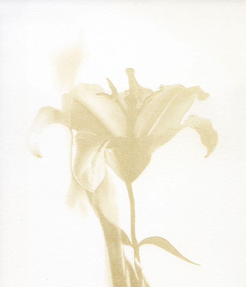 © Julia Albrecht - Image from the Silent Battles photography project