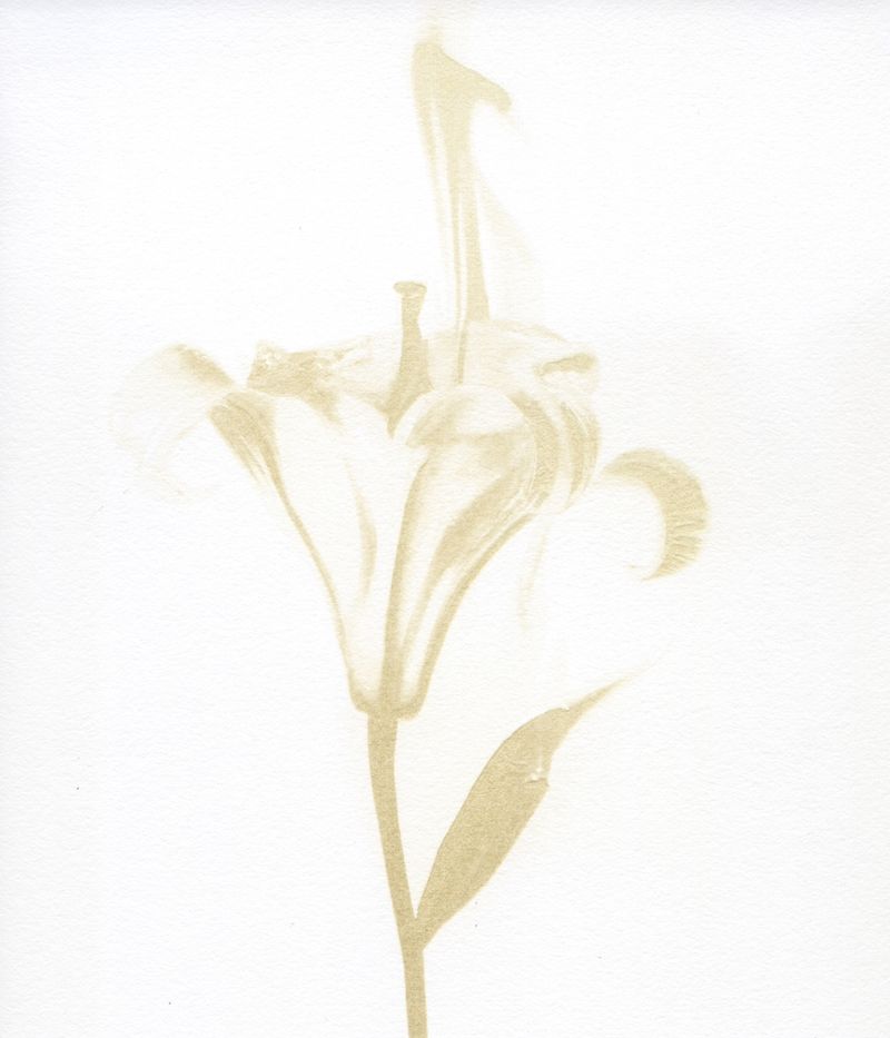 © Julia Albrecht - Image from the Silent Battles photography project