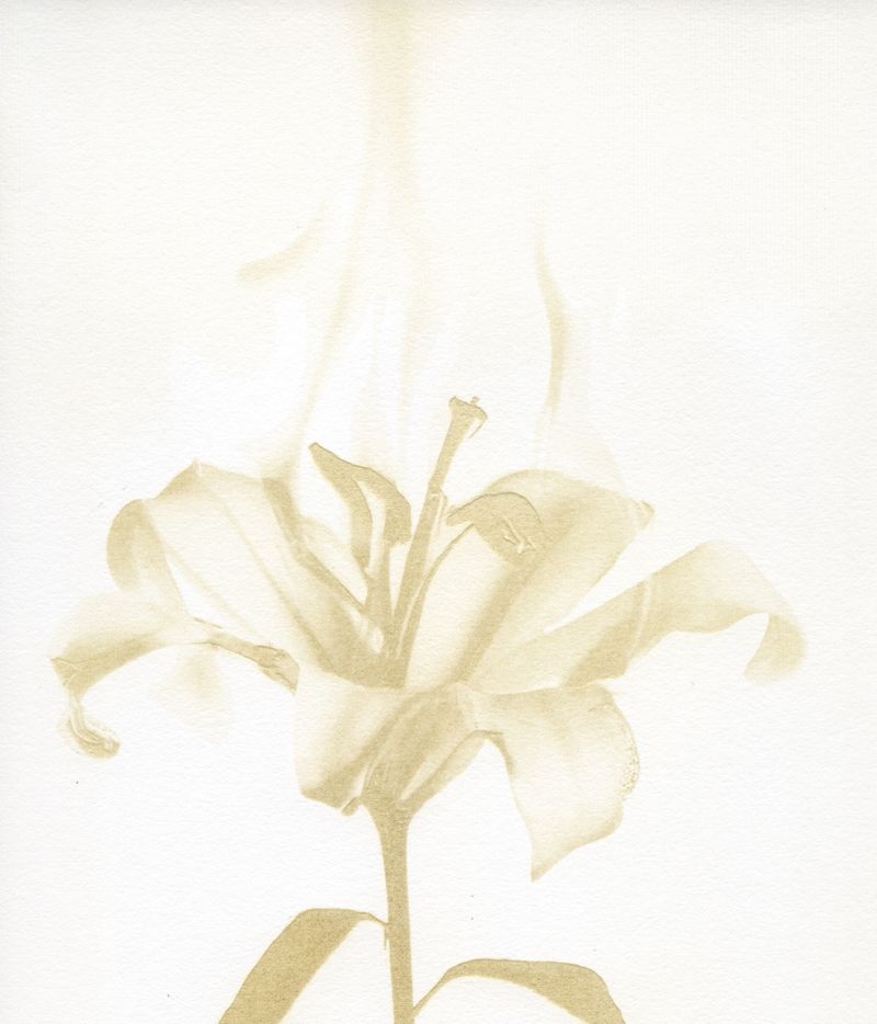 © Julia Albrecht - Image from the Silent Battles photography project