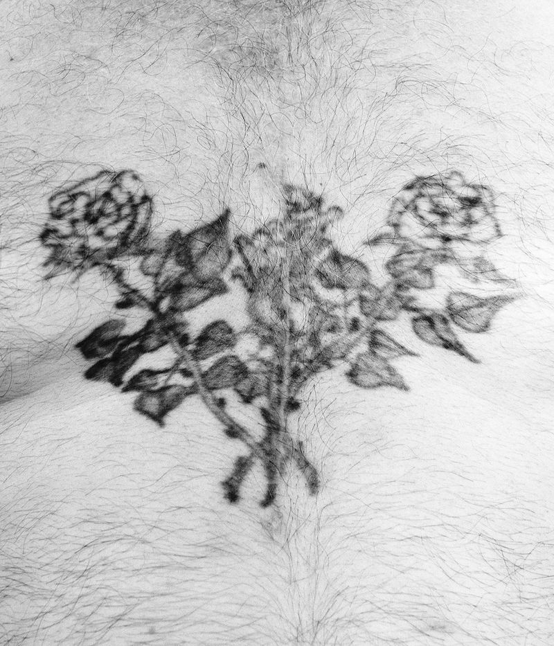 © Julia Albrecht - cut the roses of the bush