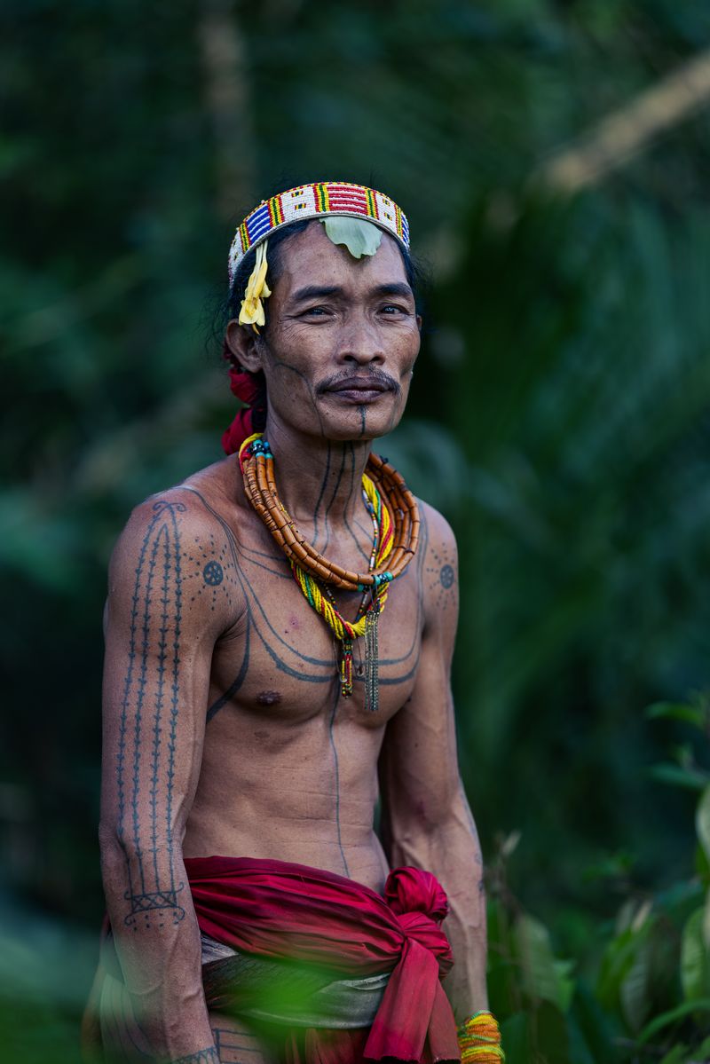 © Shanish Mishra - Image from the Guardians of the Green Soul: The Last Sikerei of Siberut photography project