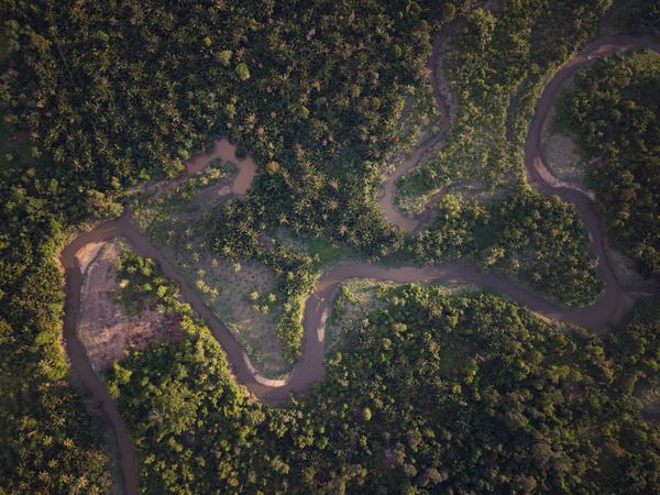 © Shanish Mishra - Image from the Guardians of the Green Soul: The Last Sikerei of Siberut photography project