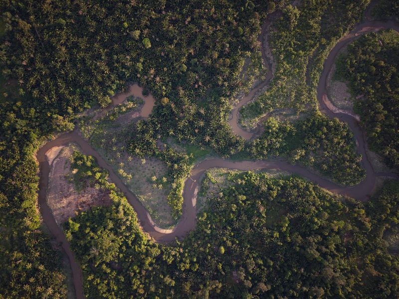 © Shanish Mishra - Image from the Guardians of the Green Soul: The Last Sikerei of Siberut photography project