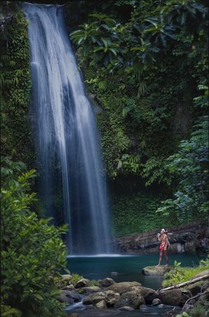 Guardians of the Green Soul: The Last Sikerei of Siberut