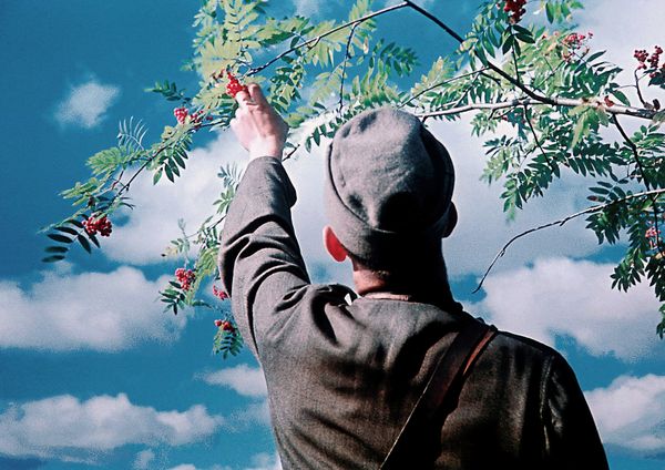 Image from a project on PhMuseum