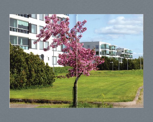 Image from a project on PhMuseum