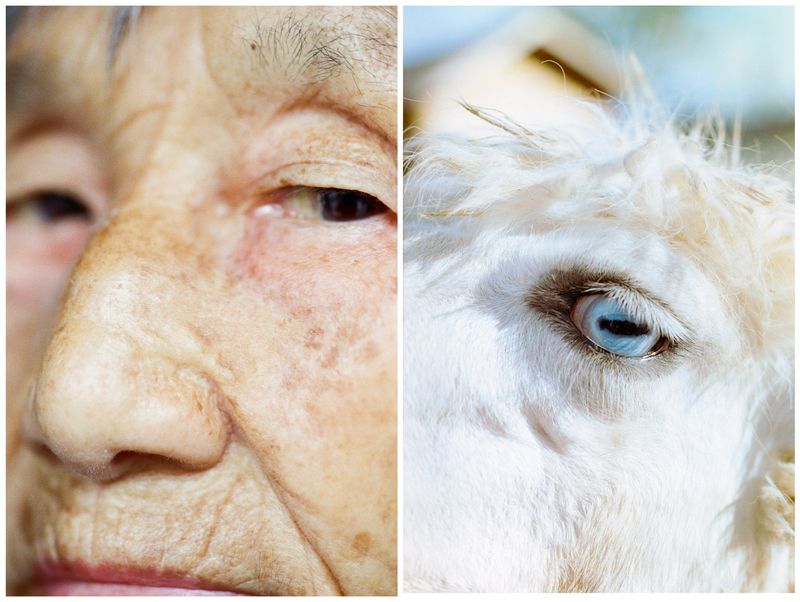 © BOSI Wang - Image from the Parallel Somatosensory photography project
