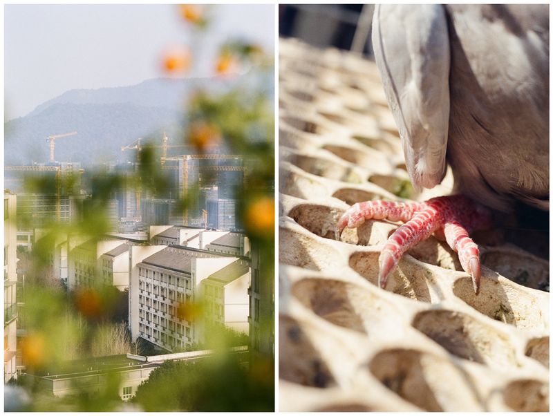 © BOSI Wang - Image from the Parallel Somatosensory photography project
