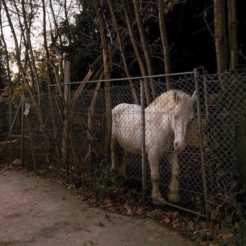 © Maja Bialon - Image from the Fireflies and Berries photography project