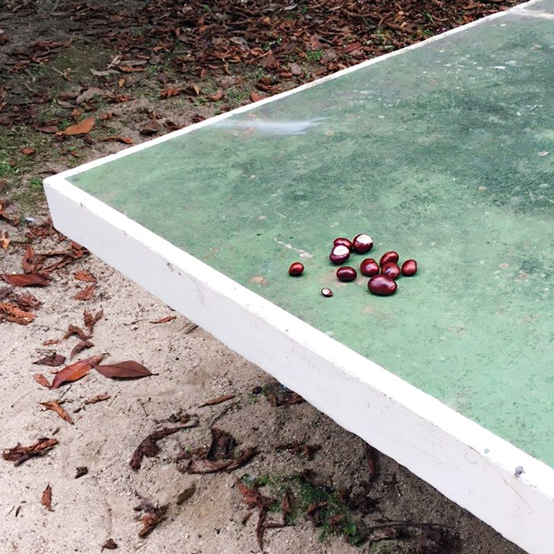 © Maja Bialon - Image from the Fireflies and Berries photography project