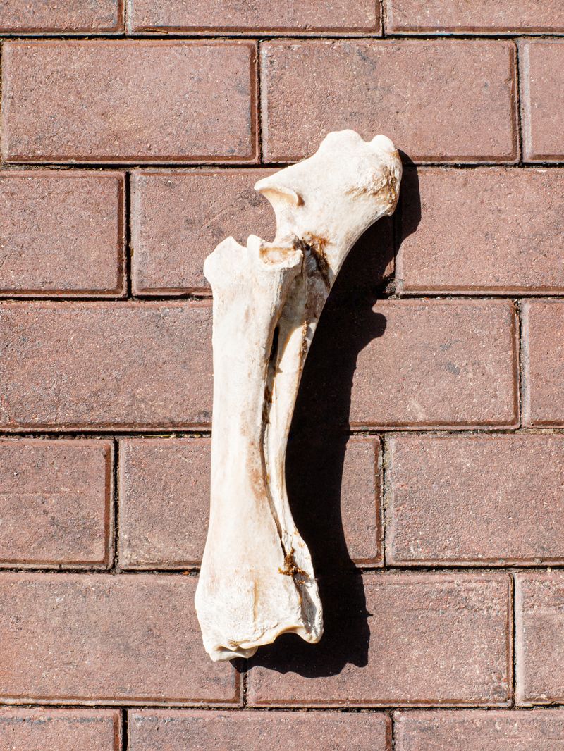 © Domingo - Image from the New World photography project