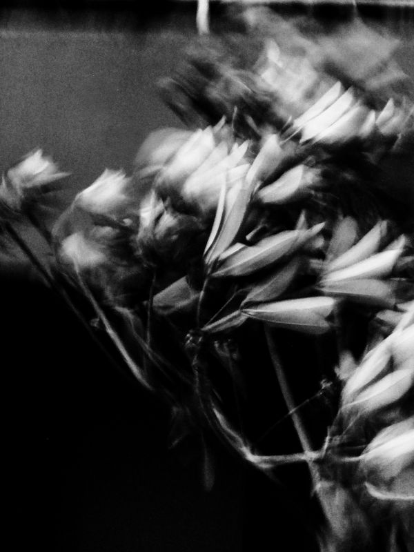© Nihaal Makani - Image from the Base Year Index photography project