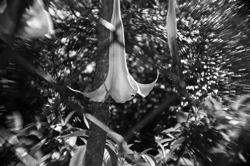 © Juliana Quesada - Image from the Escazú, a Forgotten Fantasy photography project