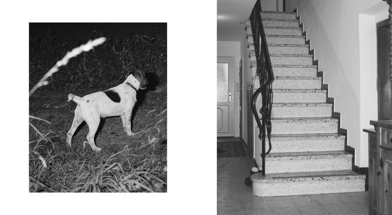 Image from a project on PhMuseum