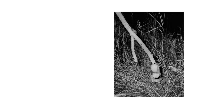 Image from a project on PhMuseum