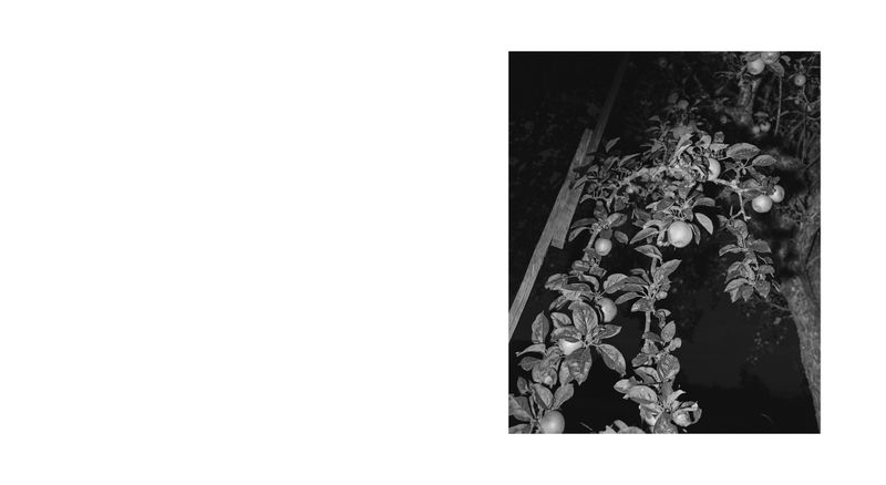 Image from a project on PhMuseum