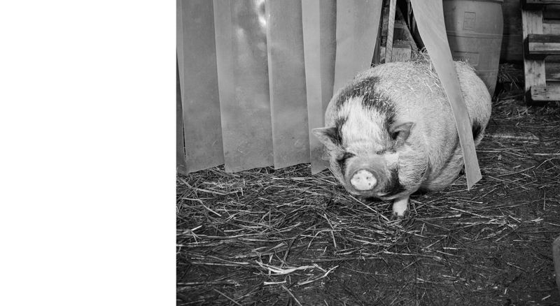 Image from a project on PhMuseum