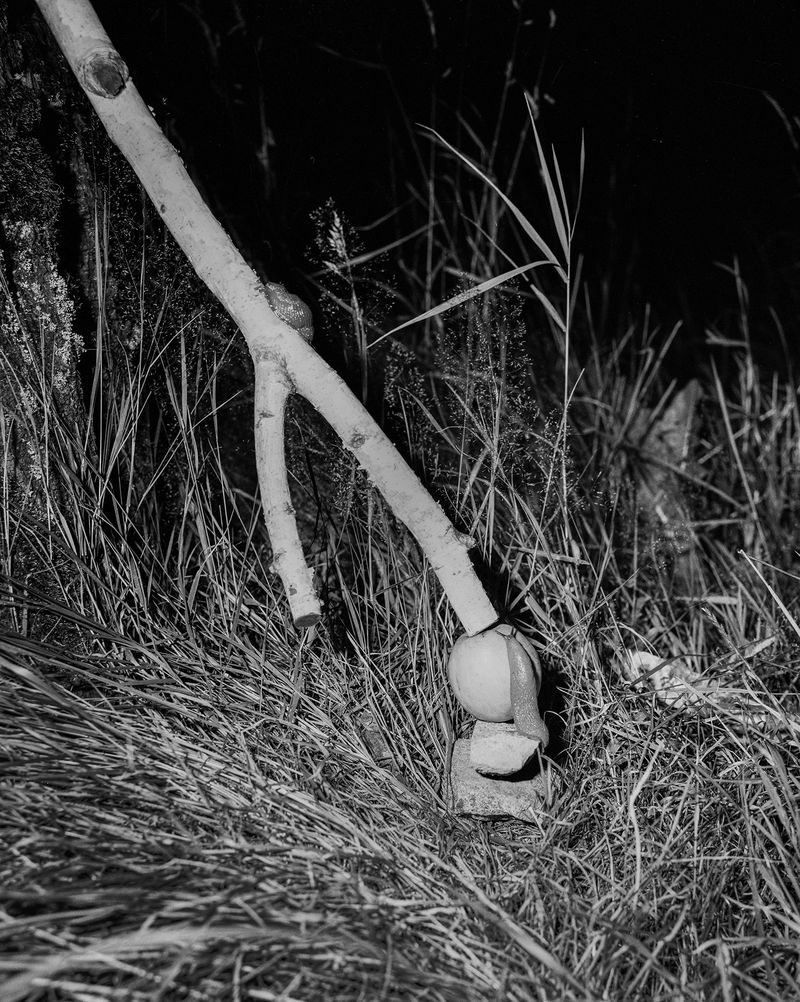 © Marge Westreich - Image from the Vorort photography project