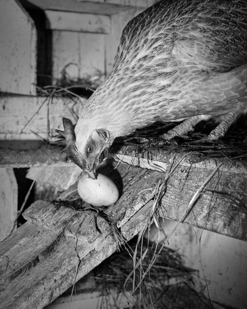 © Marge Westreich - Image from the Vorort photography project