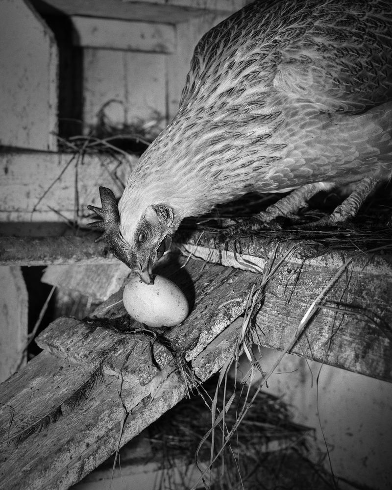 © Marge Westreich - Image from the Vorort photography project