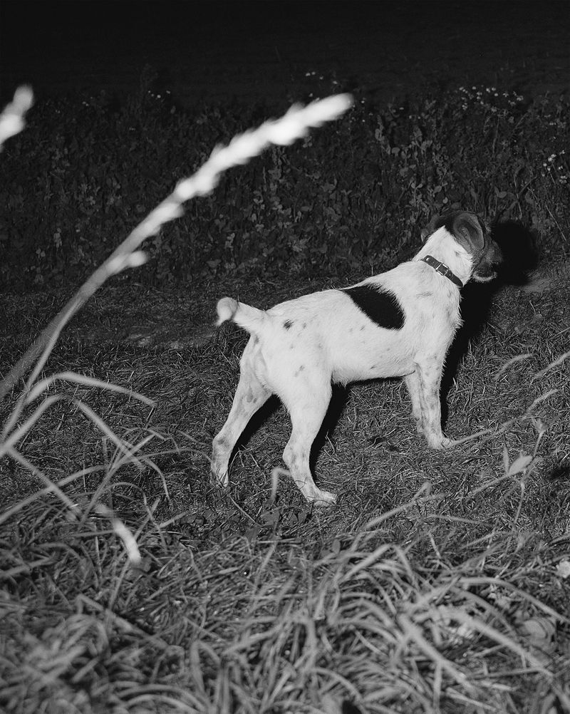 © Marge Westreich - Image from the Call Time photography project