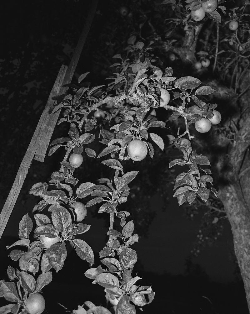 © Marge Westreich - Image from the Call Time photography project