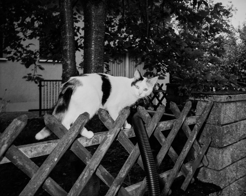 © Marge Westreich - Image from the Call Time photography project