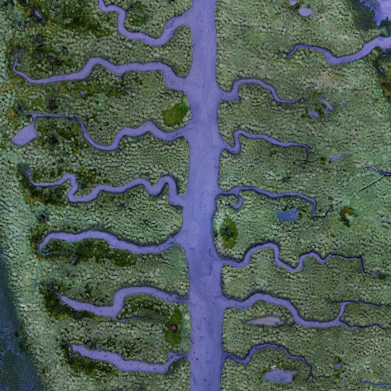 © Milan Radisics - Image from the How Water Shapes Earth photography project