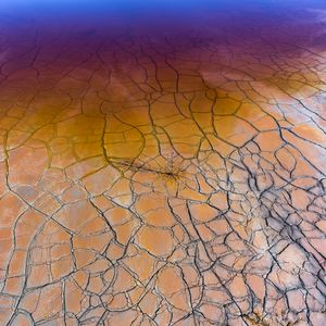 Art of pollution -The hidden cost of growth