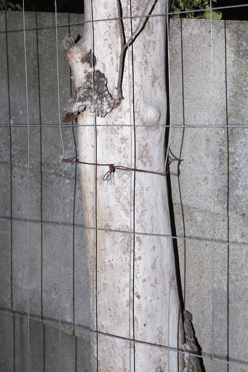 © Marcello Coslovi - Image from the The wrong side of the tracks photography project