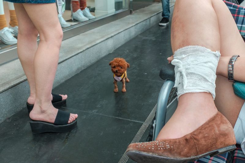 © Larry Hallegua - Image from the Made in Chengdu photography project