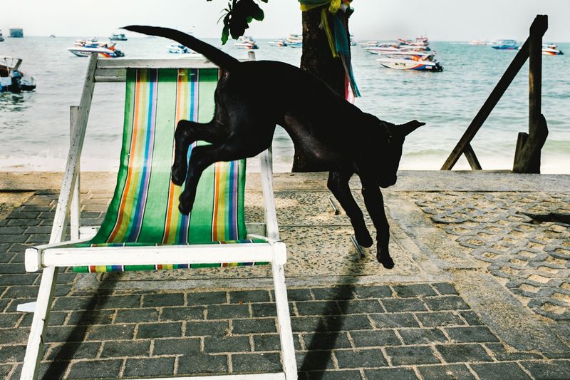 © Larry Hallegua - Image from the Beach Matters photography project