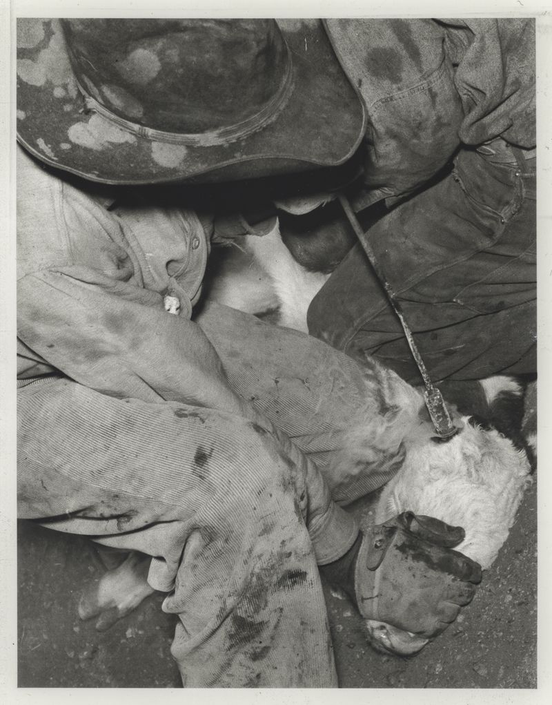 © J.A. Young - Angels no.121, silver gelatin on baryta paper (2025)