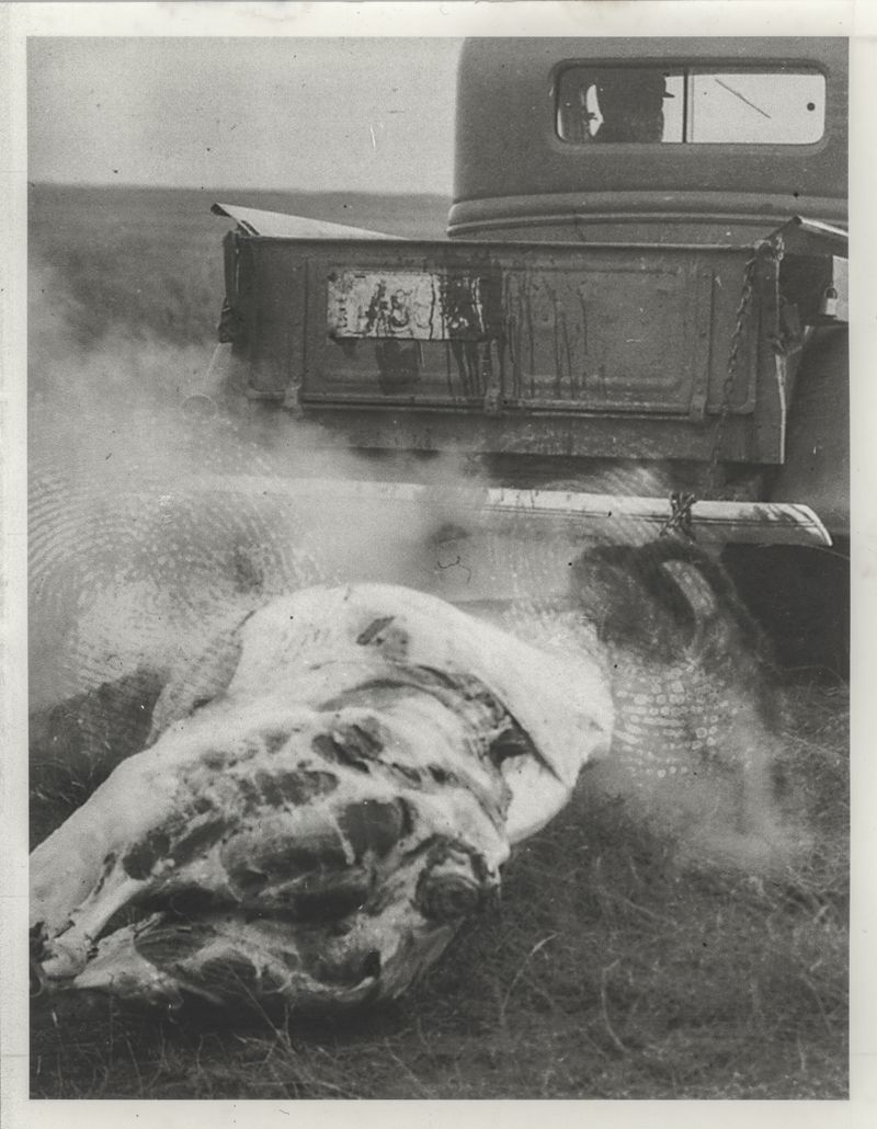 © J.A. Young - Angels no.130, silver gelatin on baryta paper (2025)