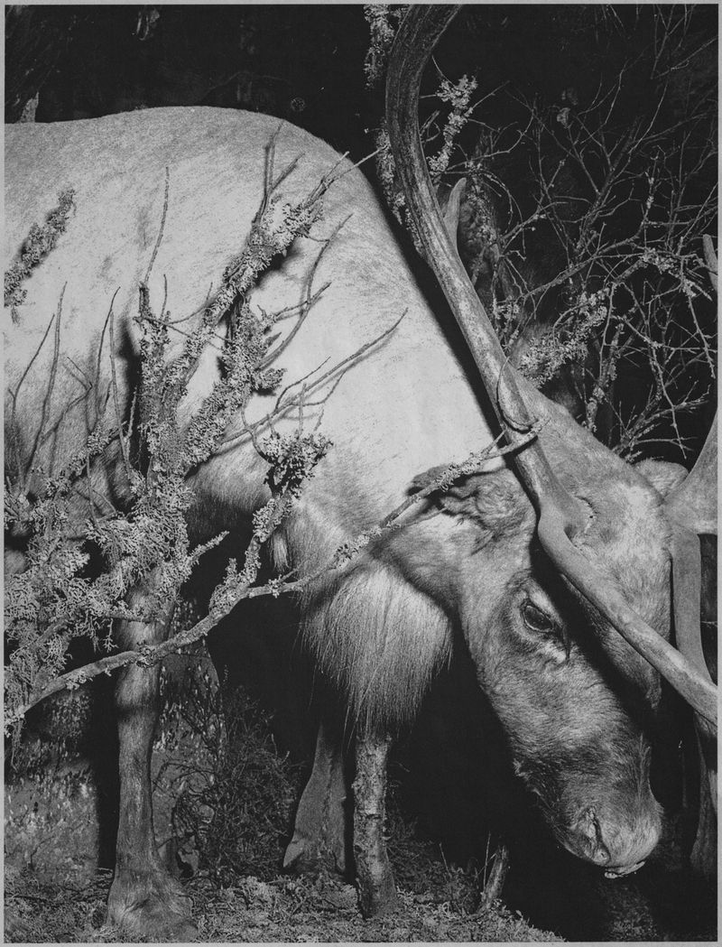 © J.A. Young - Of Fire, Far Shining no.120, toner on newsprint (2023)