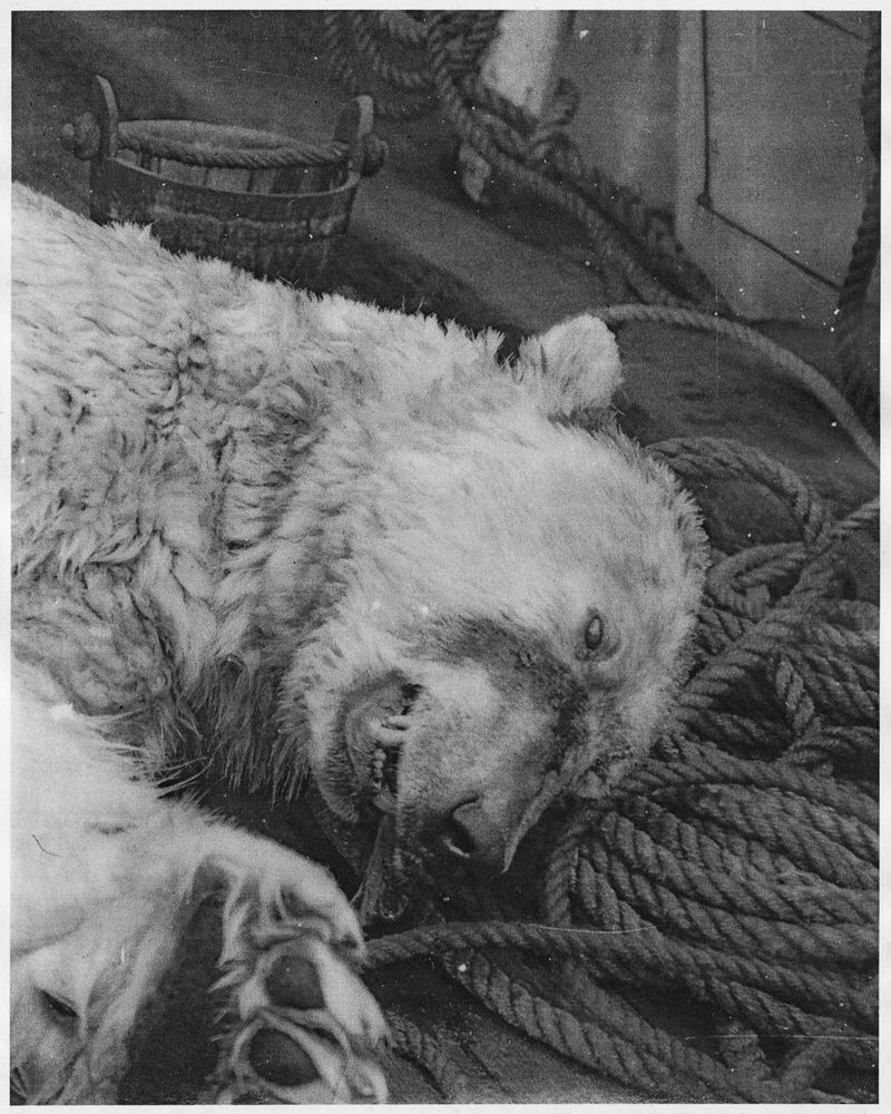 © J.A. Young - Image from the OF FIRE, FAR SHINING photography project