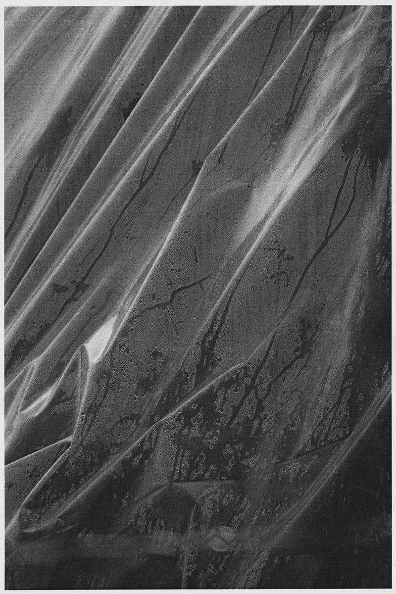 © J.A. Young - Image from the OF FIRE, FAR SHINING photography project