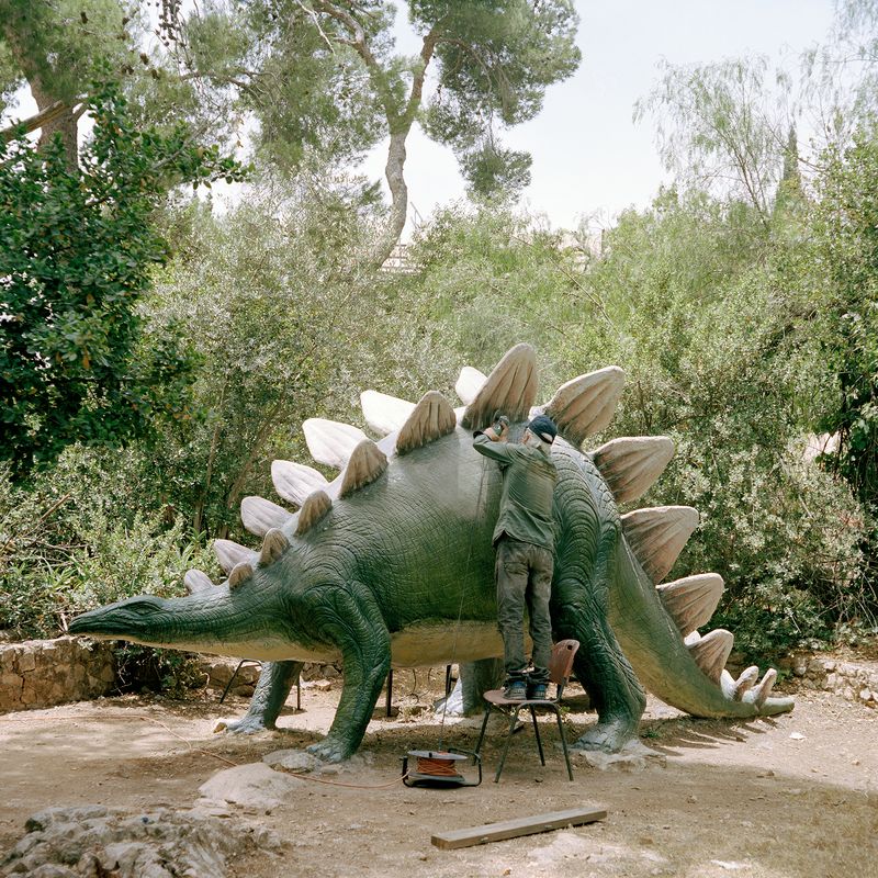 © Gabriela Gleizer - Image from the In The Museum of Nature photography project