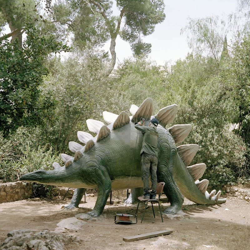 © Gabriela Gleizer - Image from the In The Museum of Nature photography project