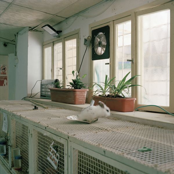 © Gabriela Gleizer - Image from the In The Museum of Nature photography project