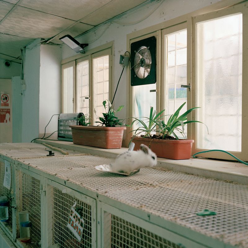 © Gabriela Gleizer - Image from the In The Museum of Nature photography project