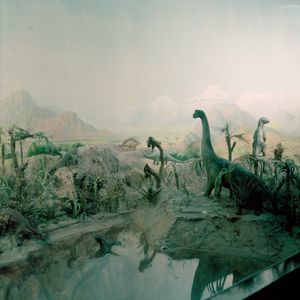 In The Museum of Nature