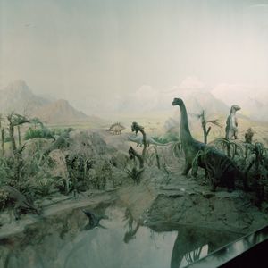 In The Museum of Nature